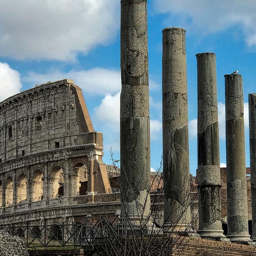 Colosseum, Roman Forum and Palatine Hill Tour